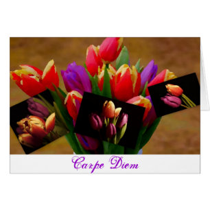 Cartão Placa de Diema Tulip Love-Carpe