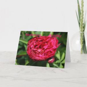 Cartão Placa de Domingo de Mothering Peony Rosa