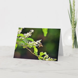 Cartão Placa de Escritura de Flor de Abelhas Salm 119:103