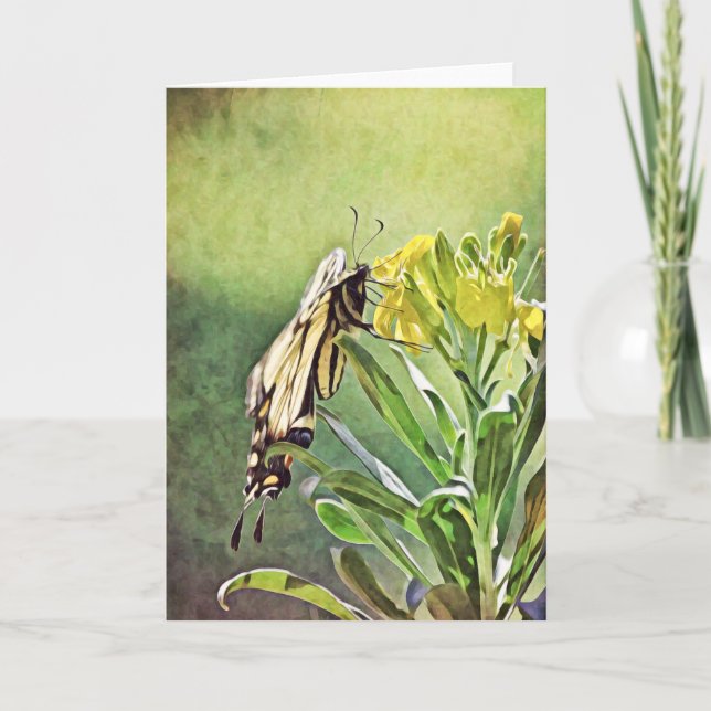 Cartão Placa de Escritura de Pintura de Borboleta 1 Peter (Frente)