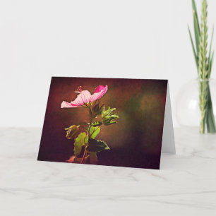 Cartão Placa de Escritura Light On Rock Rosa Isaiah 60:1