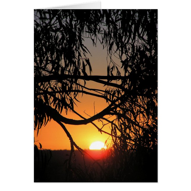 Cartão Placa de Escuridão do Sol (Frente)