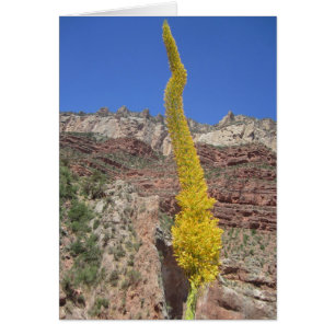 Cartão Placa de fábrica do século