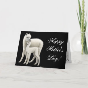 Cartão Placa de Feliz dia de as mães Alpaca