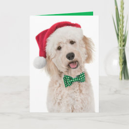 Cartão Placa de Feriado com porta do Ouro