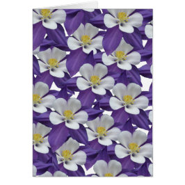 Cartão Placa de Flor Columbina Roxa e Branca