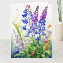 Placa de Flores Bluebell Colorida