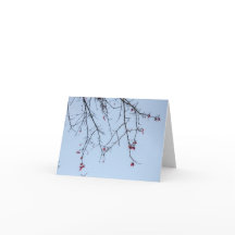 Placa de Flores Fierce