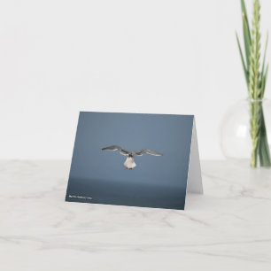 Cartão Placa de Folhas de Seagull