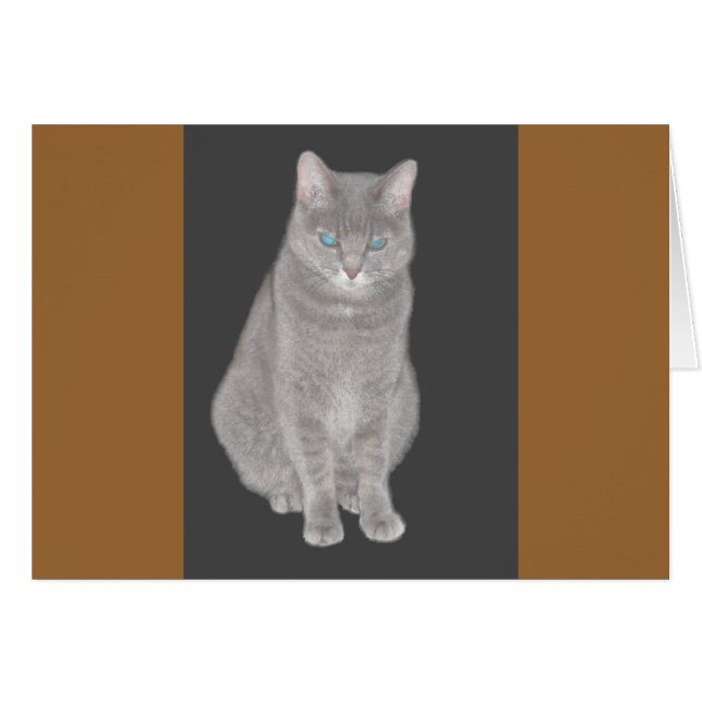 Cartão Placa de Gato de cinza (Frente Horizontal)