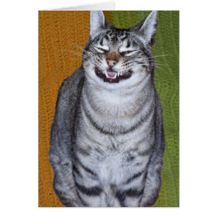 Cartão Placa de Gato de Grelha