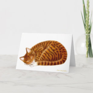 Cartão Placa de Gato de Tabby para Dormir