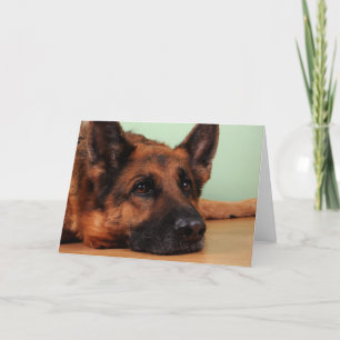 Cartão placa de german shepherd