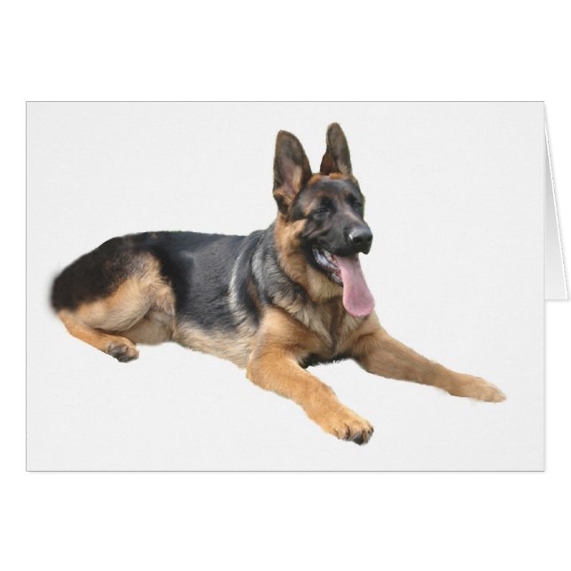Cartão Placa de german shepherd (Frente Horizontal)