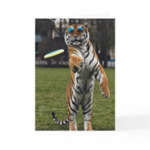 Placa de Golf de Disco Tiger