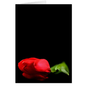 Cartão Placa de Gravação Tulip