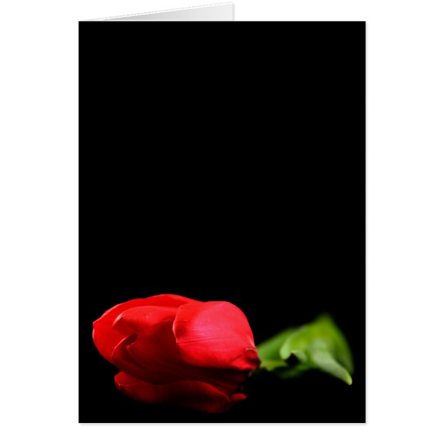 Cartão Placa de Gravação Tulip (Frente)