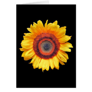 CARTÃO PLACA DE GREETING SUNFLOWER