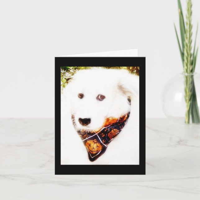 Cartão Placa de Halloween Pyr excelente (Frente)