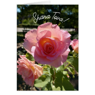 Cartão Placa de Hashanah, Rosa de chá rosa radiante