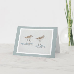 Cartão Placa de Ilustração de Pássaros de Linha Costeira