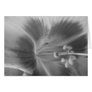 Cartão Placa de Inseto oculta