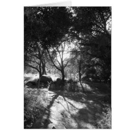 Cartão Placa de isolamento