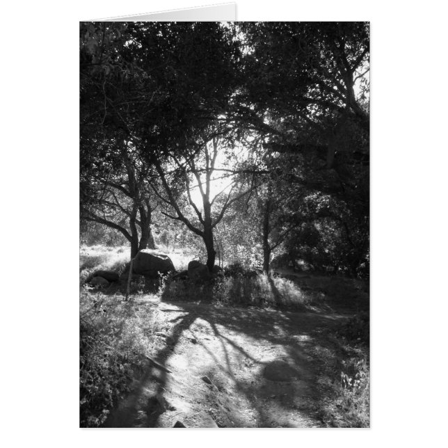 Cartão Placa de isolamento (Frente)