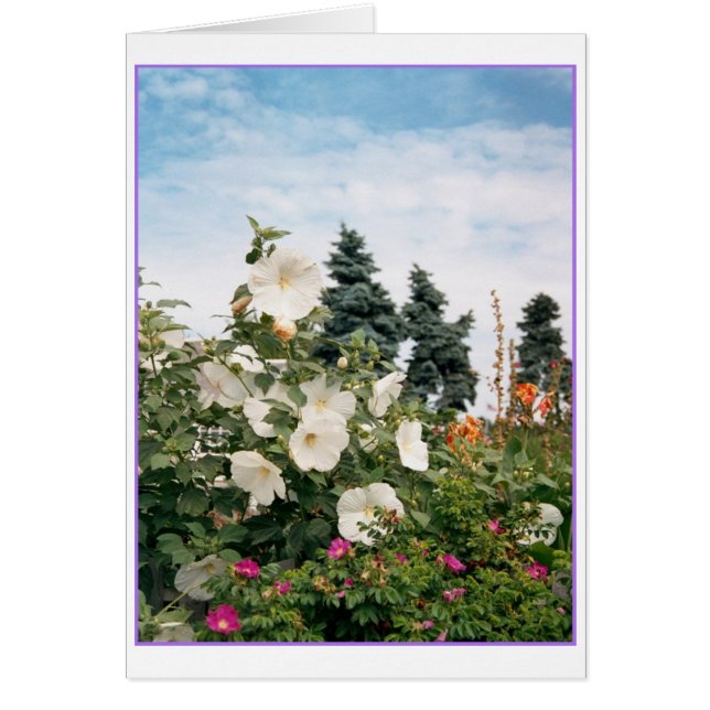 Cartão Placa de jardim do vinhedo (Frente)