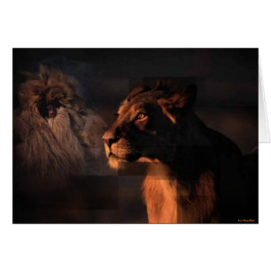 Cartão Placa de Leões