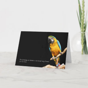 Cartão Placa de Macaw para Todas as Ocasiões