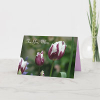 Placa de Mãe das Tulipas Roxas