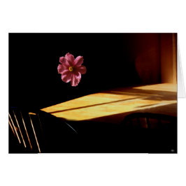 Cartão Placa de Mindscape de Flor Flutuante