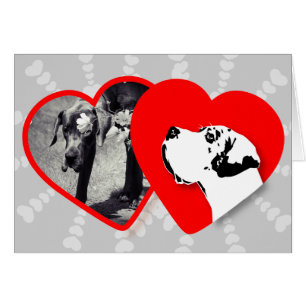 Cartão Placa de Modelo Dane Ótimo