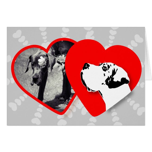 Cartão Placa de Modelo Dane Ótimo (Frente Horizontal)