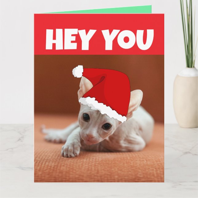 CARTÃO PLACA DE NATAL DE GATO DE GATO SEM FIO SPHYNX (Frente)