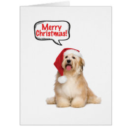 Cartão Placa de Natal para Pups de Papais noeis Grandes