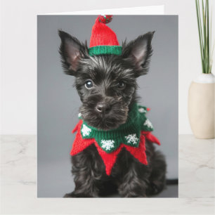 Cartão Placa de Natal "Terrier Elf" escocesa