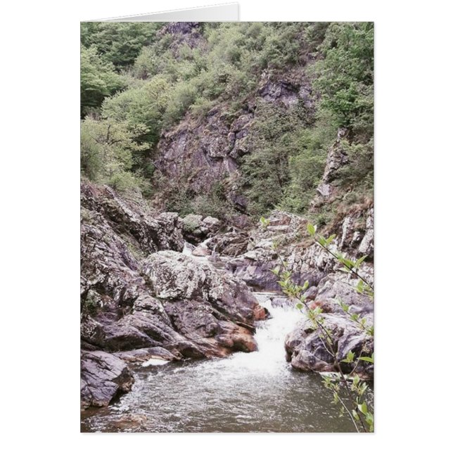 Cartão Placa de Natureza de Pequena Quebra-Carga (Frente)