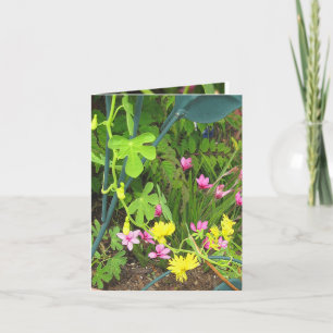 Cartão Placa de Nota Canário e RedStar