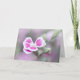 Cartão Placa de Nota da Flor Dianthus Rosa