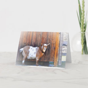 Cartão Placa de Nota de Caprino Feliz