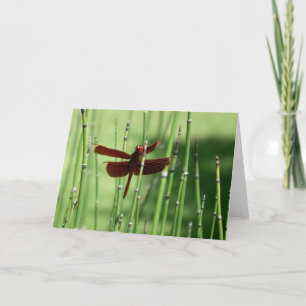 Cartão Placa de Nota de Dragonfly Vermelha