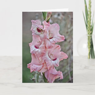 Cartão Placa de Nota de Flores Gladiolus Pink Stalk