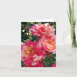 Cartão Placa de Nota de Foto-Arte de Vazio com Rosas em b