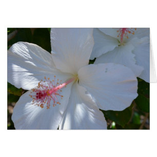 Cartão Placa de Nota de Fragrância Floral