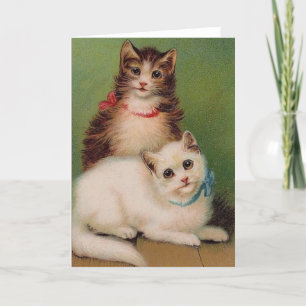 Cartão Placa de Nota de Gatos Vintage