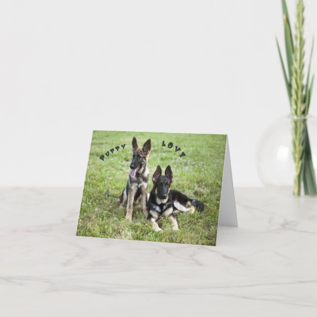 Cartão Placa de Nota de german shepherd (Frente)