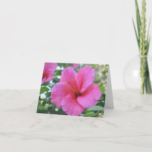 Cartão Placa de Nota de Hibiscus Magenta