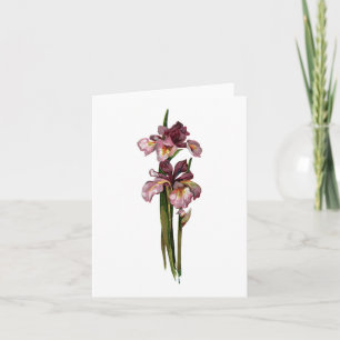 Cartão Placa de Nota de Irises Roxos